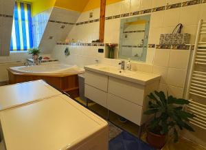 Apartmán Král Karel
