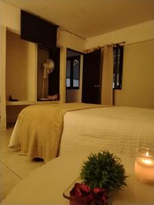 Agave Spa Suites