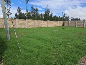 Azois Residency Batian