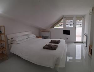 Roma - Casalpalocco - Amipsia