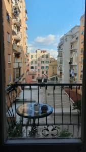 Magnolia view