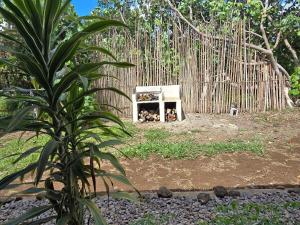 Purau Rapa Nui Cabaña 1