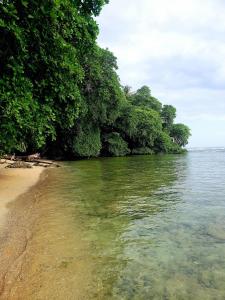 2 Apartments with 1 Bedroom each and private shower fully equipped
