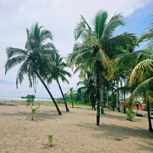 2 Apartments with 1 Bedroom each and private shower fully equipped