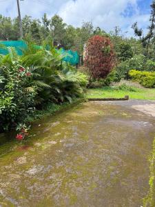 Coffee town homestay