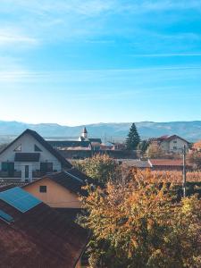 Mountain View Apartment- Free parking- 5 min city centre