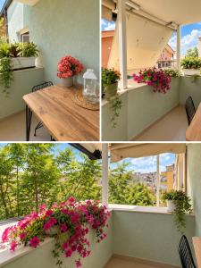 Amour Apartament