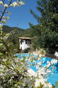 Hotel Rio Molas img29