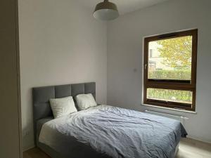 Nowa Letnica - taras z ogrodem - salon z aneksem kuchennym i sypialnia