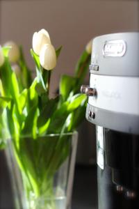 Ferienwohnung Kirchturmblick Euren