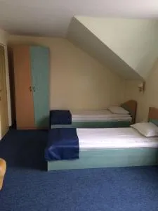 Pensiunea Casa Raul - Nădăşelu