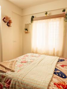 Iza Homes