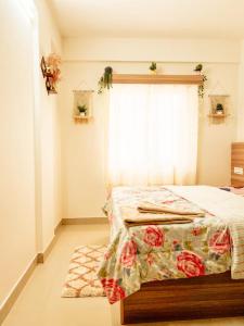 Iza Homes