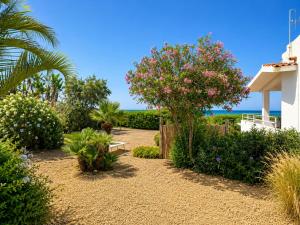 Punta Braccetto Fronte Mare