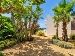 Punta Braccetto Fronte Mare