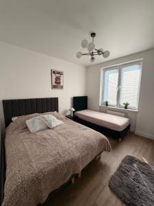Oferta noclegów 17543651