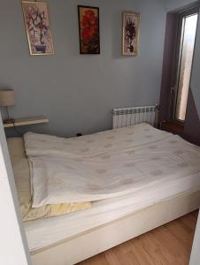 Apartament-Wodnik