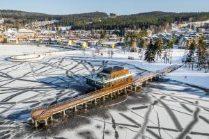 MOLI Apartmán s privátní saunou - MOLO Lipno Resort