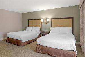 Hampton Inn- Suffolk