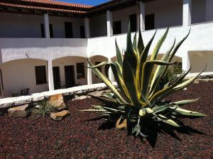 Agave Alghero img16