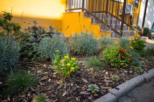 Sweet House Pecs A Mediterranean pad in the heart of the city center!