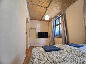 Brick-Vault Flat near Bratislava Train Station