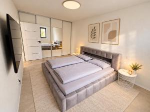 BB Central Apartment with pool and garden