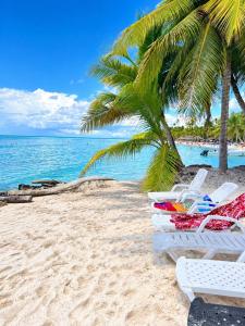 Coral Bay Living