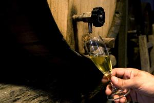 Hotel Lucrezia img22