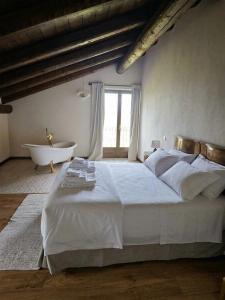 Casa Art u