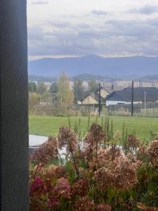 Vista Karkonosze komfortowe domy z sauną, basenem letnim i jacuzzi