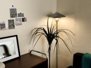 Explore Seoul Like a Local Peaceful Stay