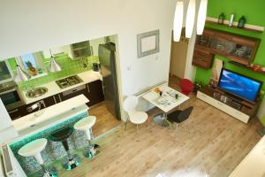 Studio Apartment Green Wall