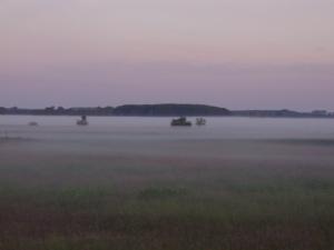 "Ferienwohnungen Wiesenblick"