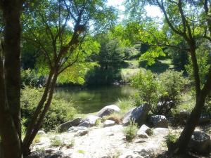 Cabañas Nueve Lunas