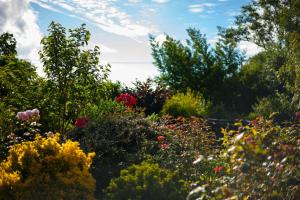 Maisons de vacances Gites Bretagne Broceliande. Il etait une fois ... : photos des chambres