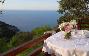 Villa Rose Skopelos Greece