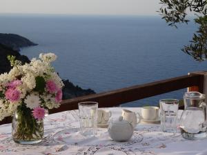 Villa Rose Skopelos Greece