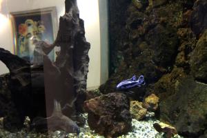 Belgrade Republic Square Apartment