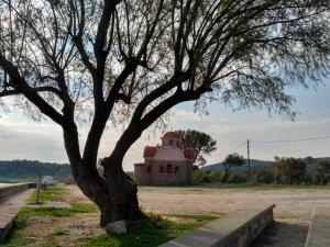 9 Musses Hotel Apartments Lesvos Greece