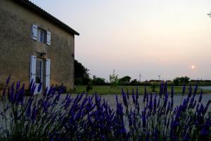 Maisons de vacances Charente Gite - 2 chambres : photos des chambres