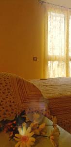 Agriturismo Chiai Francesco img20