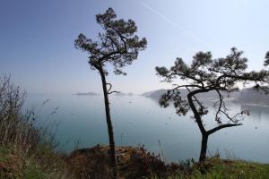 B&B / Chambres d'hotes La Haute Flourie - bed and breakfast -chambres d'hotes : photos des chambres