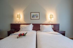 Double or Twin Room with Pool View room in Hotel Boavista II