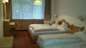 One-Bedroom Apartment no balcony  - Basement