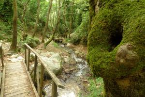 The Lotus Tree Archontiko & Pelion Activity Lodge Pelion Greece