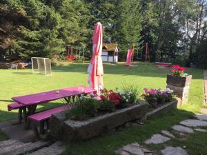 Chalet in Ore Mountains near Ski Slopes