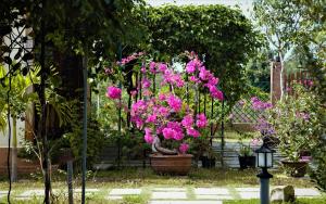 Spring Garden Homestay