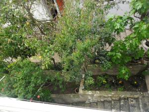 Apartments Jaksa