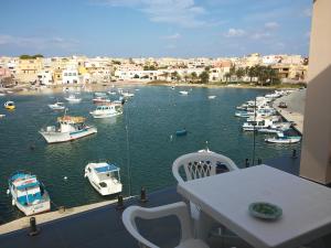 Calamaluk